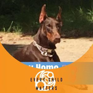 Meet your Posher, Tara